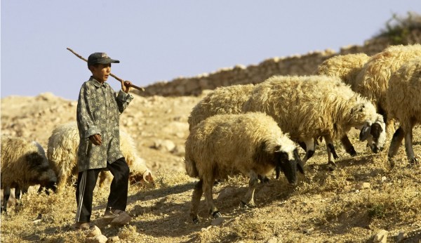 The State Department shouldn’t be complicit in Yezidi genocide 2.0
