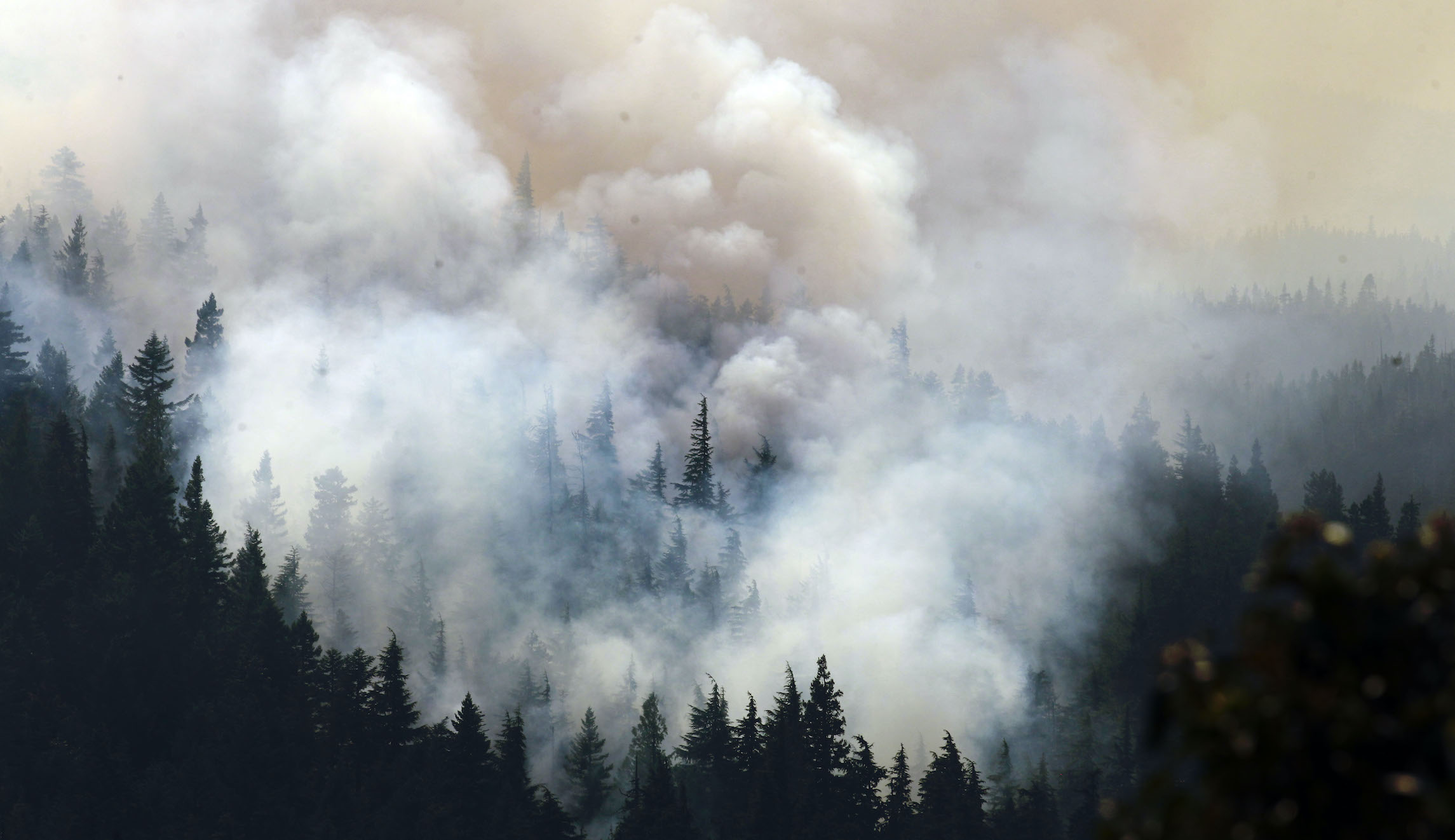 Oregon’s wildfire season may cost $100M as state cashes in on insurance policy