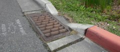 Woman found naked and bound at bottom of Florida storm drain