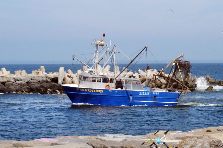 Lawmakers call for pause on offshore wind as eight dolphins wash up on New Jersey shore