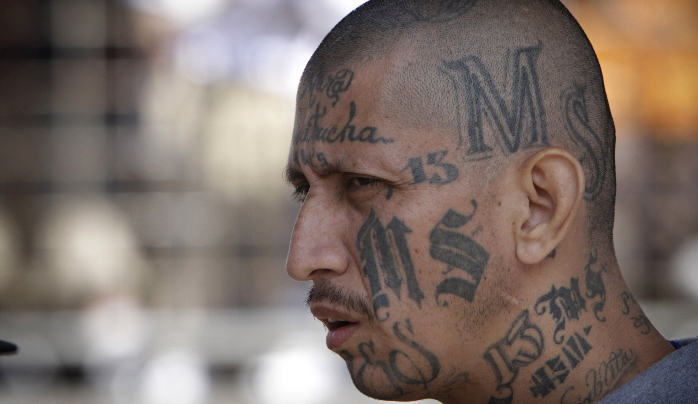Gang task force disbanded as MS-13 strikes again outside Washington