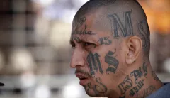 More than 300 MS-13 gang members arrested at southern border in fiscal year ’22