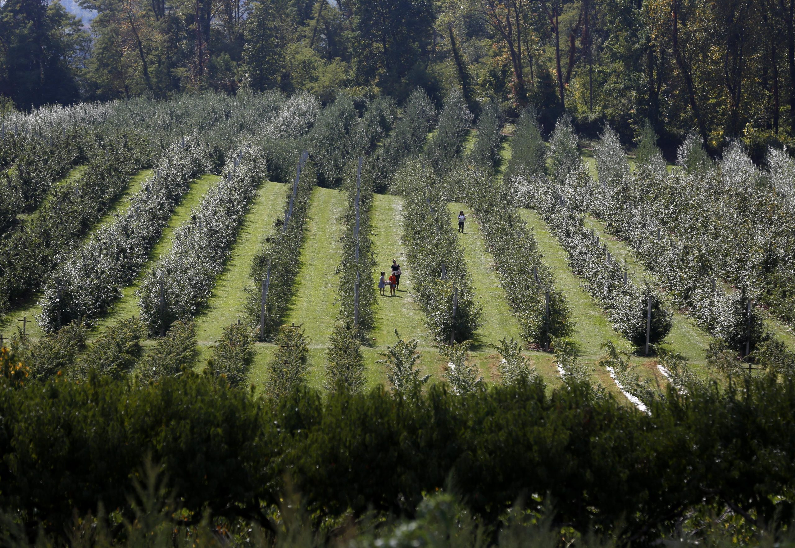 New Jersey bills designed to preserve farmland to become law
