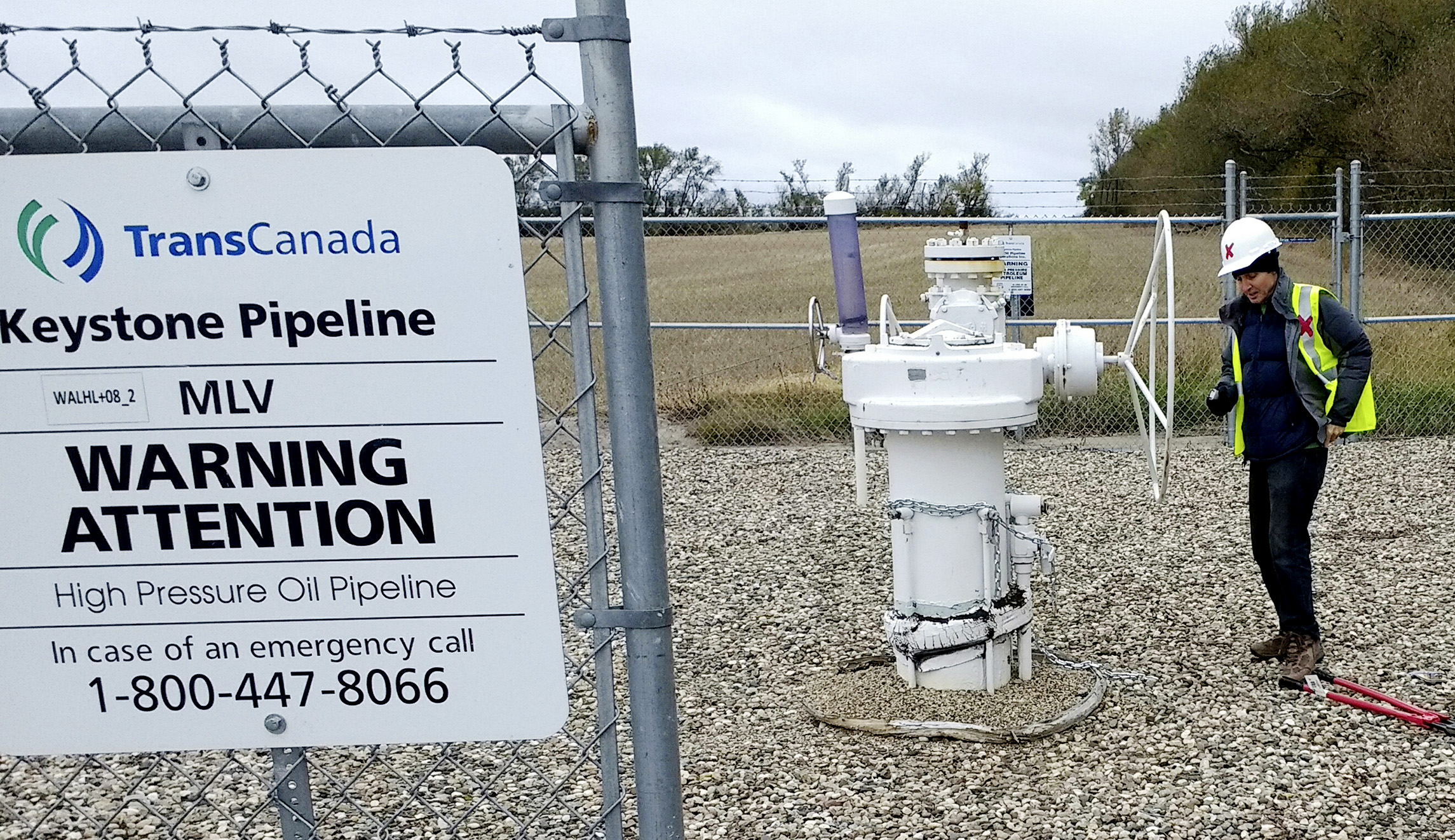 The four Senate Democrats who have flipped on Keystone XL