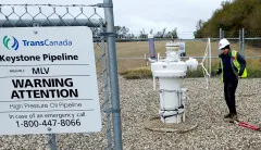 The four Senate Democrats who have flipped on Keystone XL