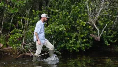 Florida health department confirms discovery of brain-eating amoeba in bodies of water