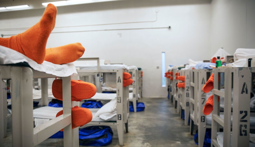 Democratic ICE cuts would restrain Trump from detaining illegal immigrants