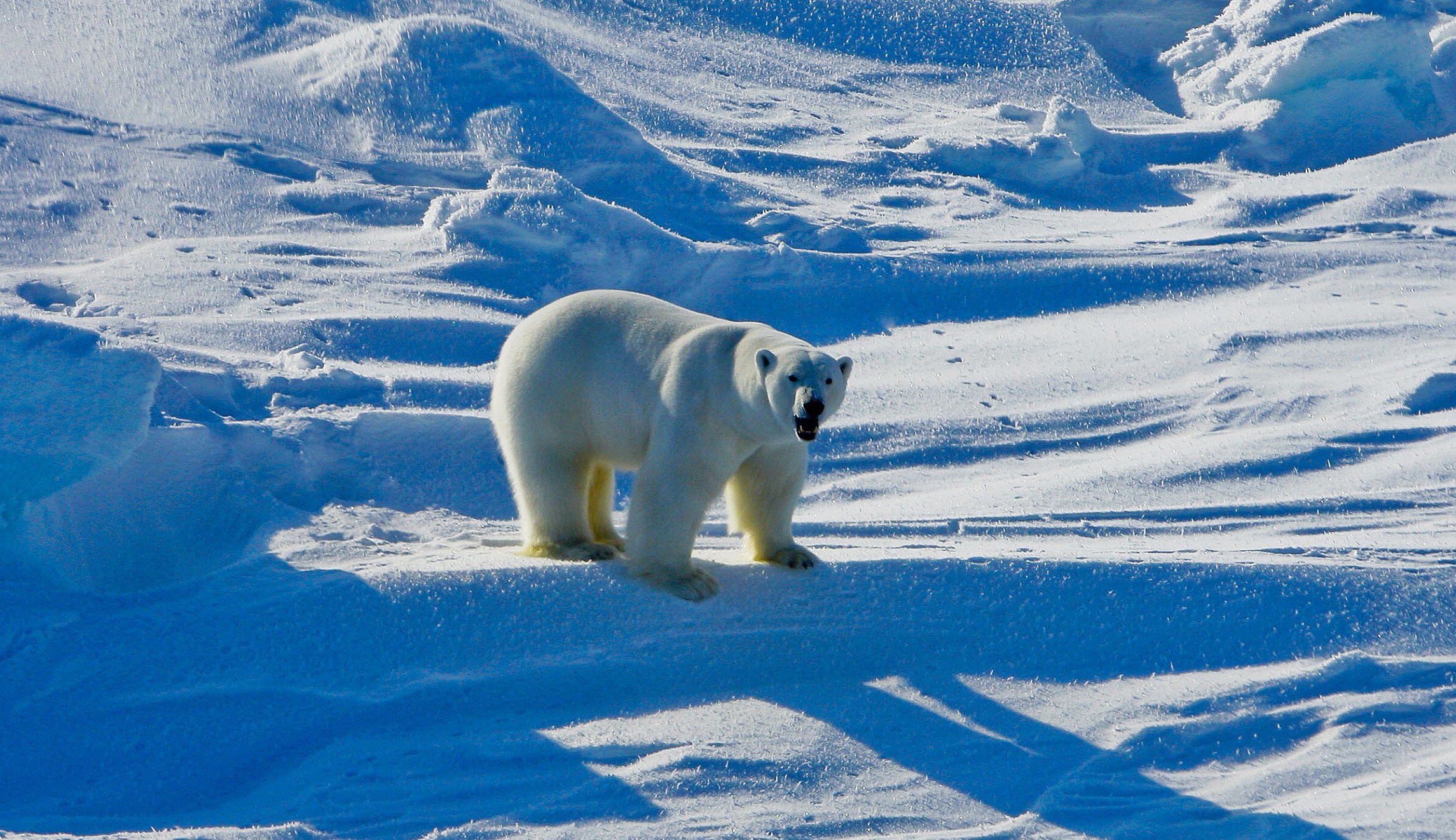 Doubling down on climate change and censorship