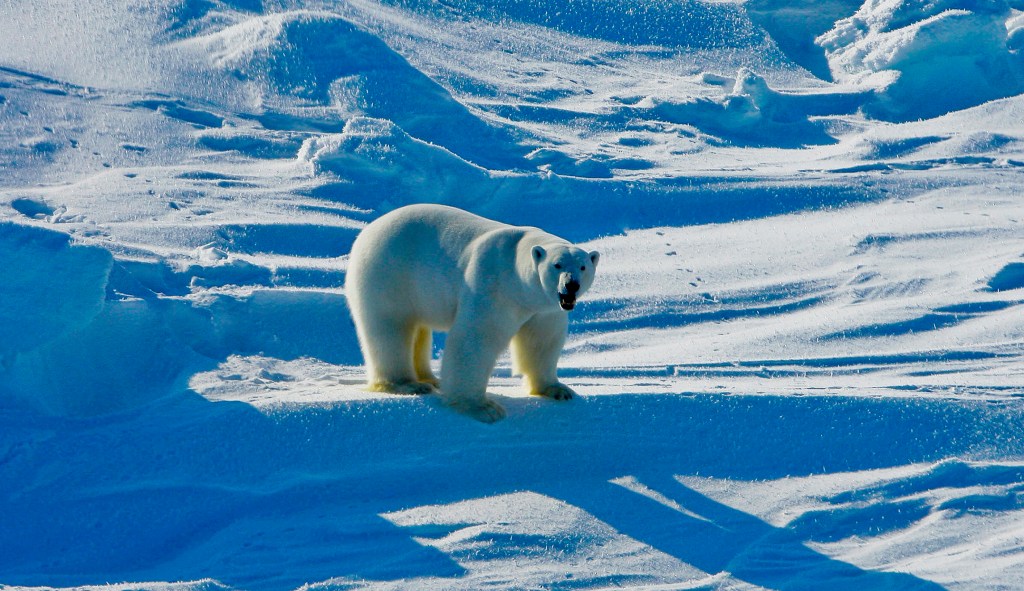 Doubling down on climate change and censorship