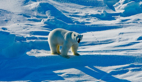 Doubling down on climate change and censorship