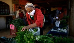 Brazil: A vision of low-carbon agriculture and environmental conservation