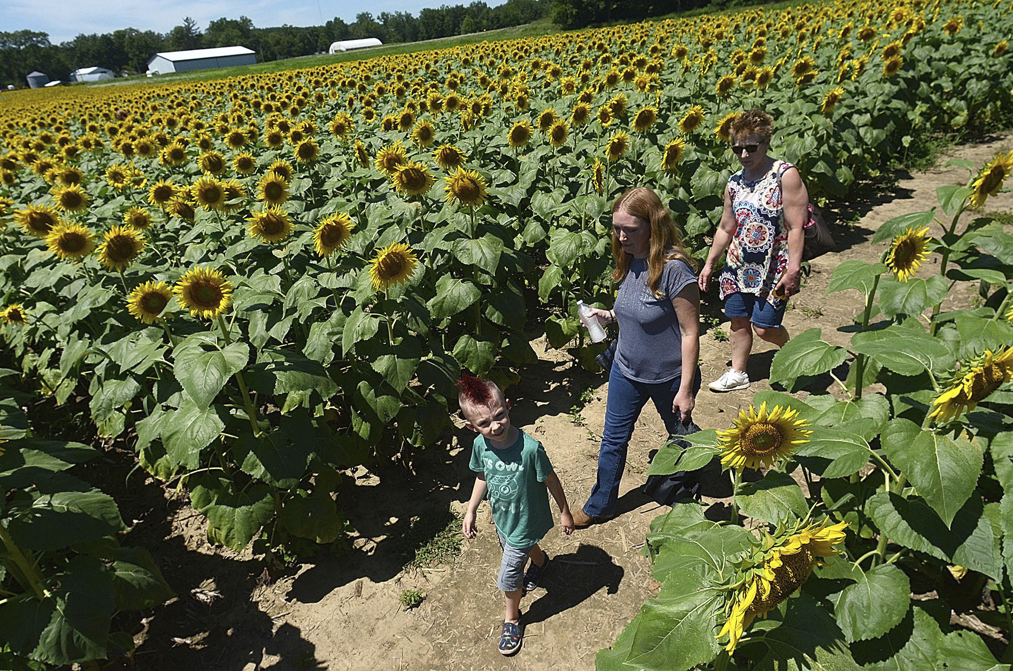 Illinois farm outings could change amid pandemic