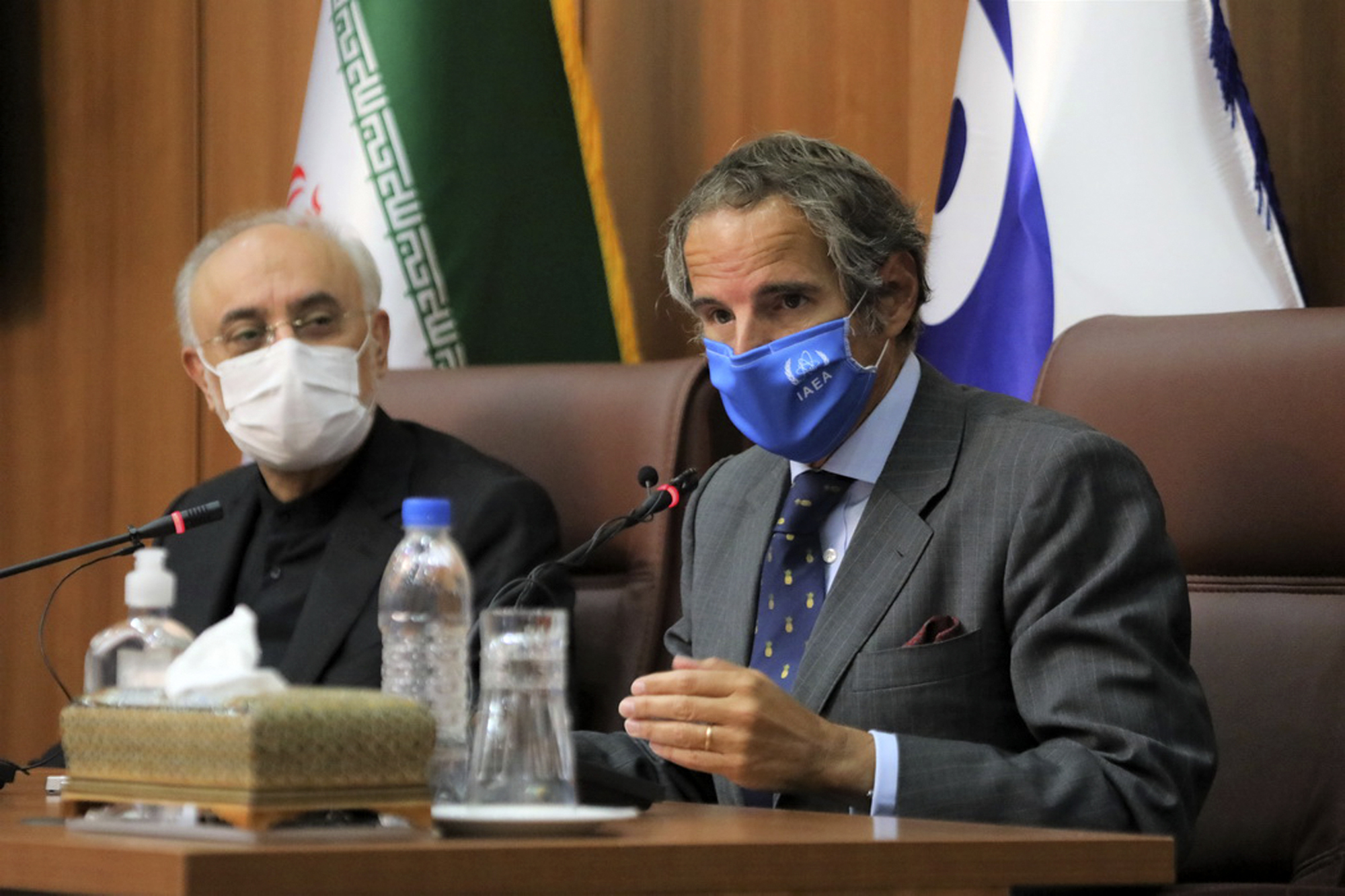  Grossi and Salehi