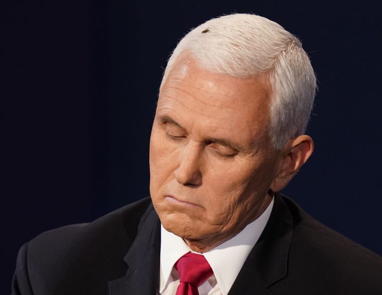 Fly on Mike Pence’s head captivates viewers during vice presidential debate