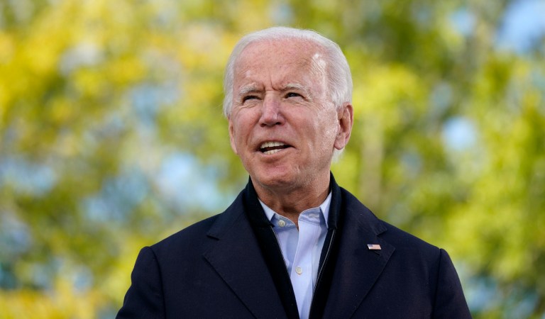 Biden reportedly doubles his lead in Georgia within a day