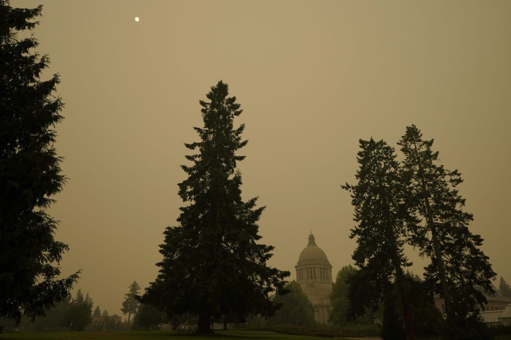 Western voters increasingly concerned about wildfires: Poll
