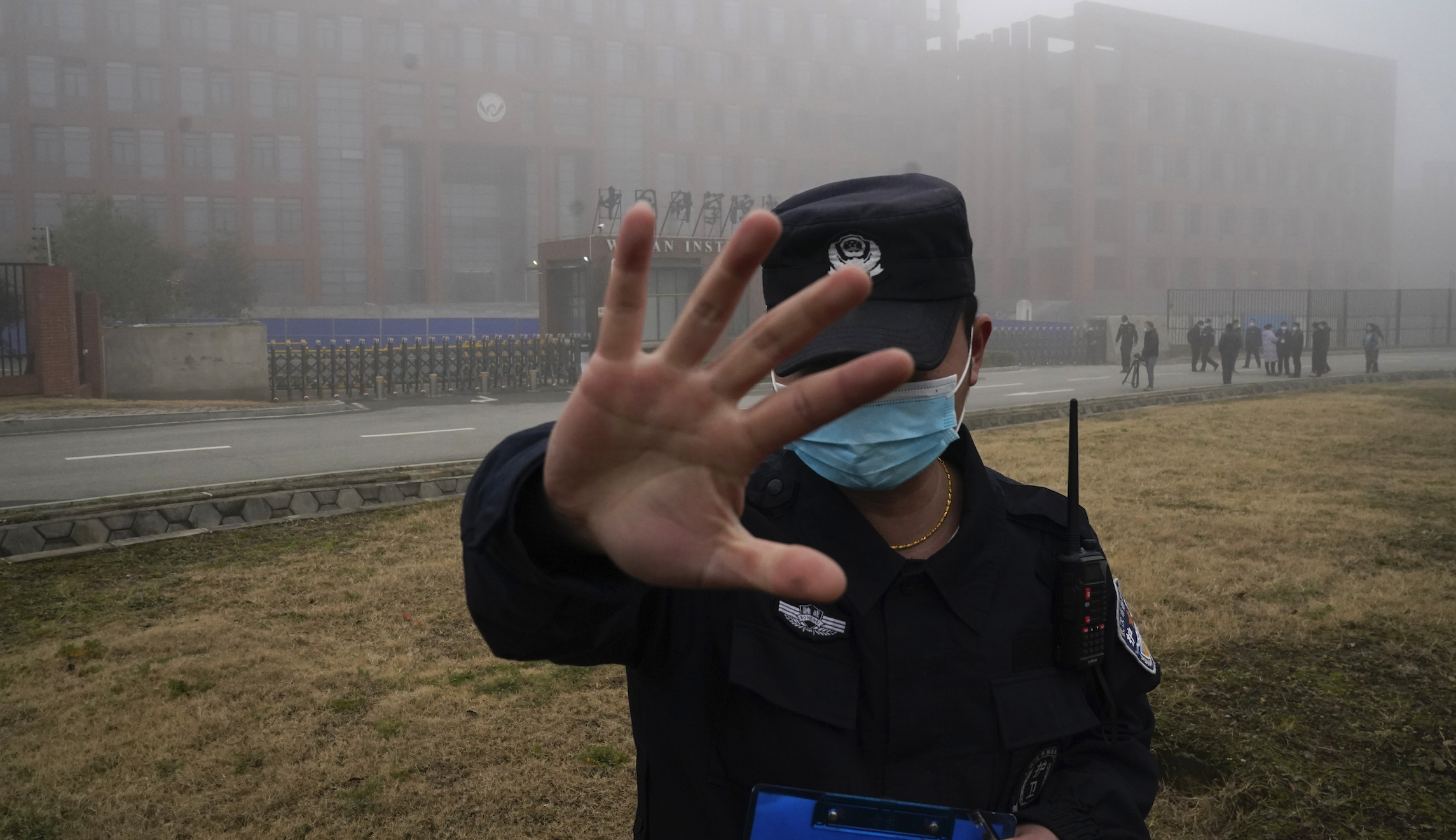 Virus Outbreak China WHO Interview