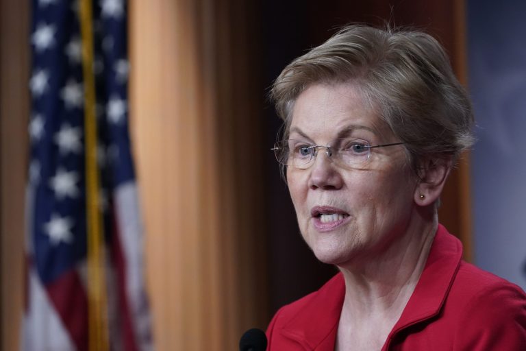 Warren admits regulating corporations is for curbing criticism of government
