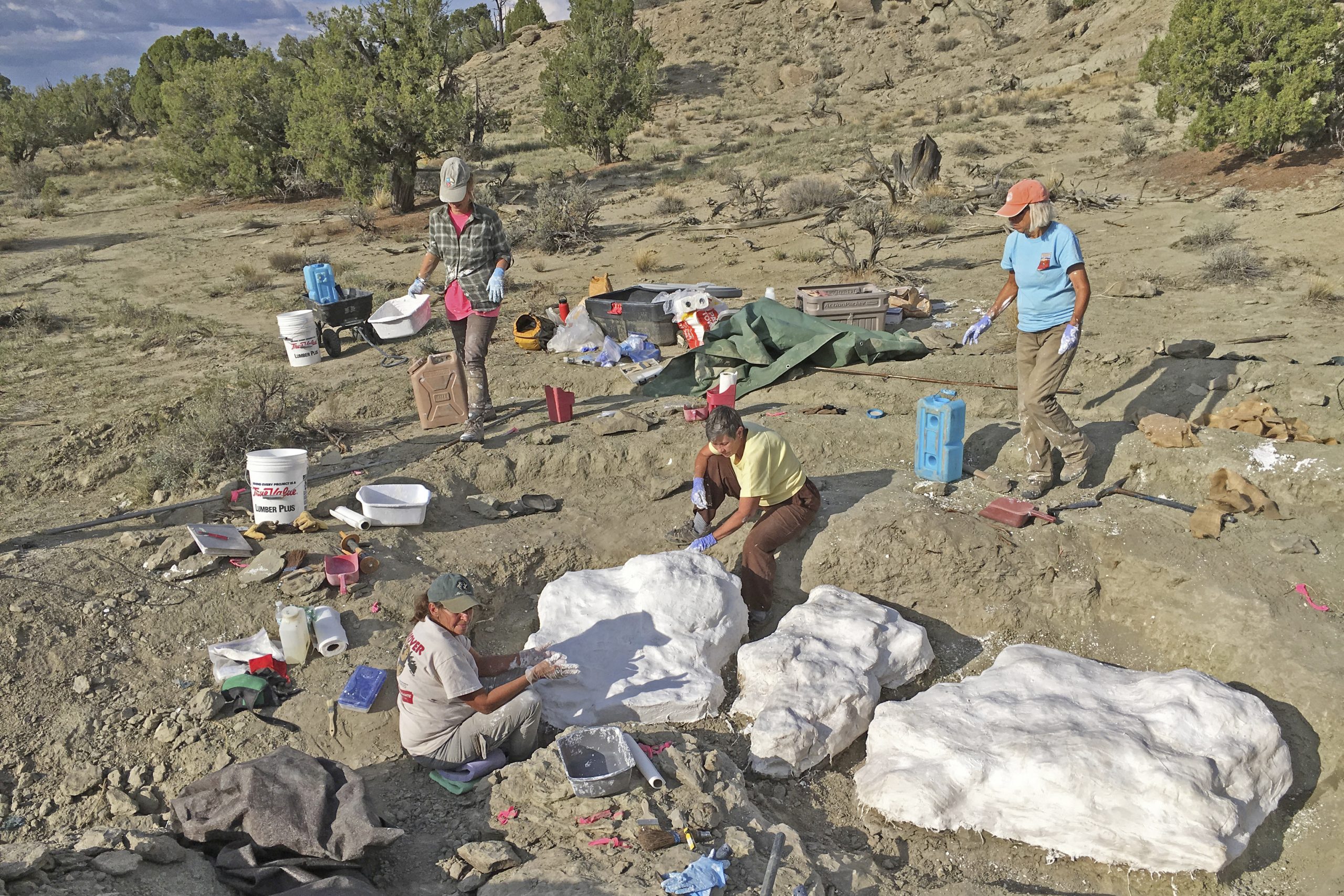 112-million-year-old dinosaur tracks damaged in Utah