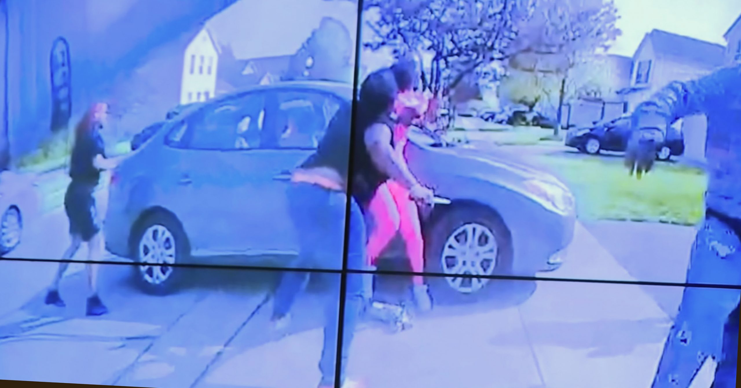 Police Shootings Video