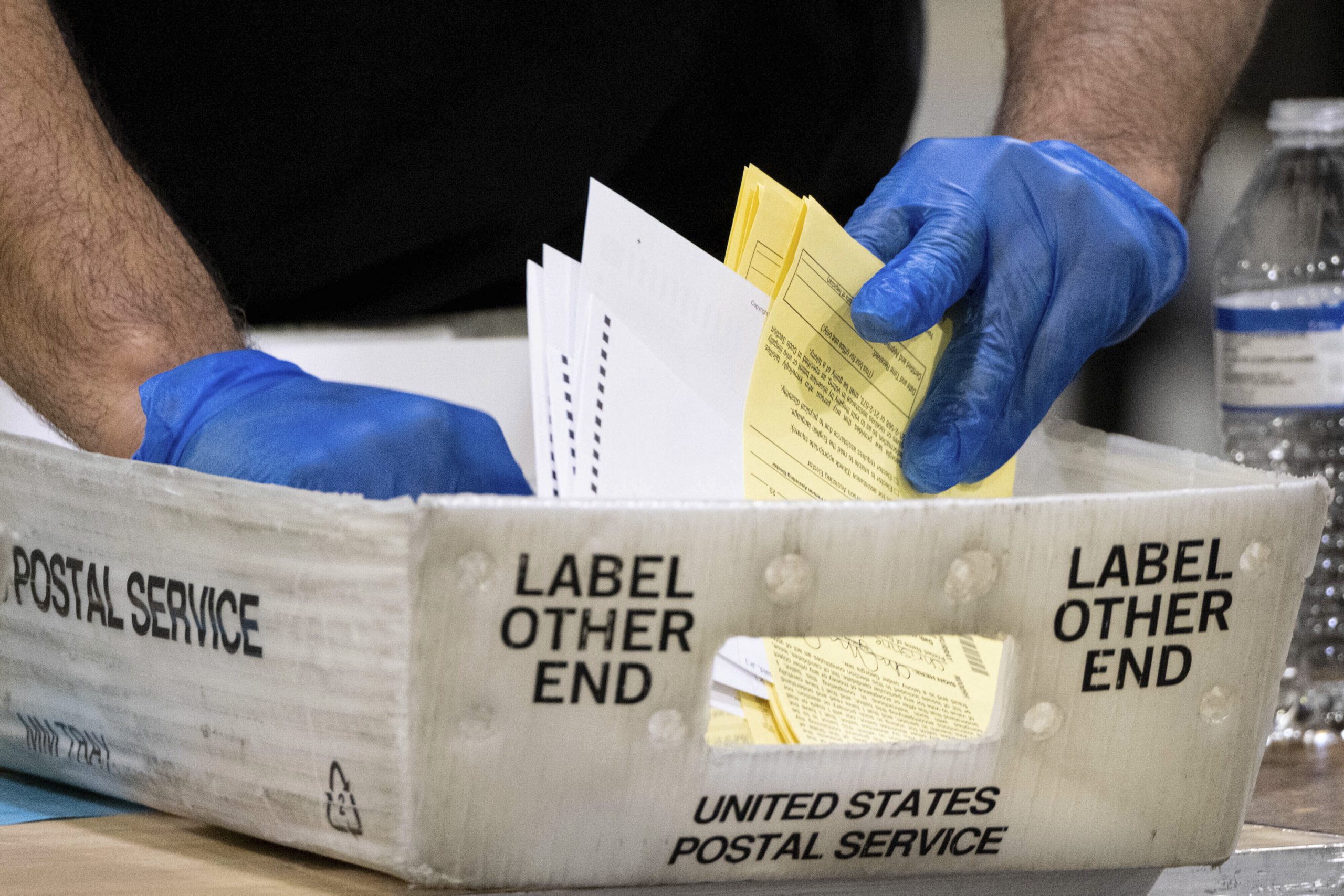 Georgia observer says Fulton County election was sloppy but no fraud found