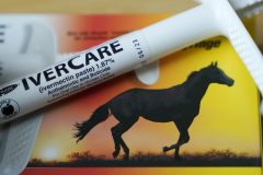 Everyone was wrong about ivermectin