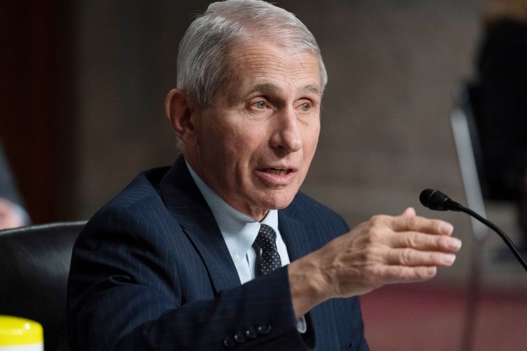 Dr. Anthony Fauci, director of the National Institute of Allergy and Infectious Diseases, speaks during a Senate Health, Education, Labor, and Pensions Committee hearing on Capitol Hill, Thursday, Nov. 4, 2021, in Washington.                                                                                                                                                                                                                                                                                                     
