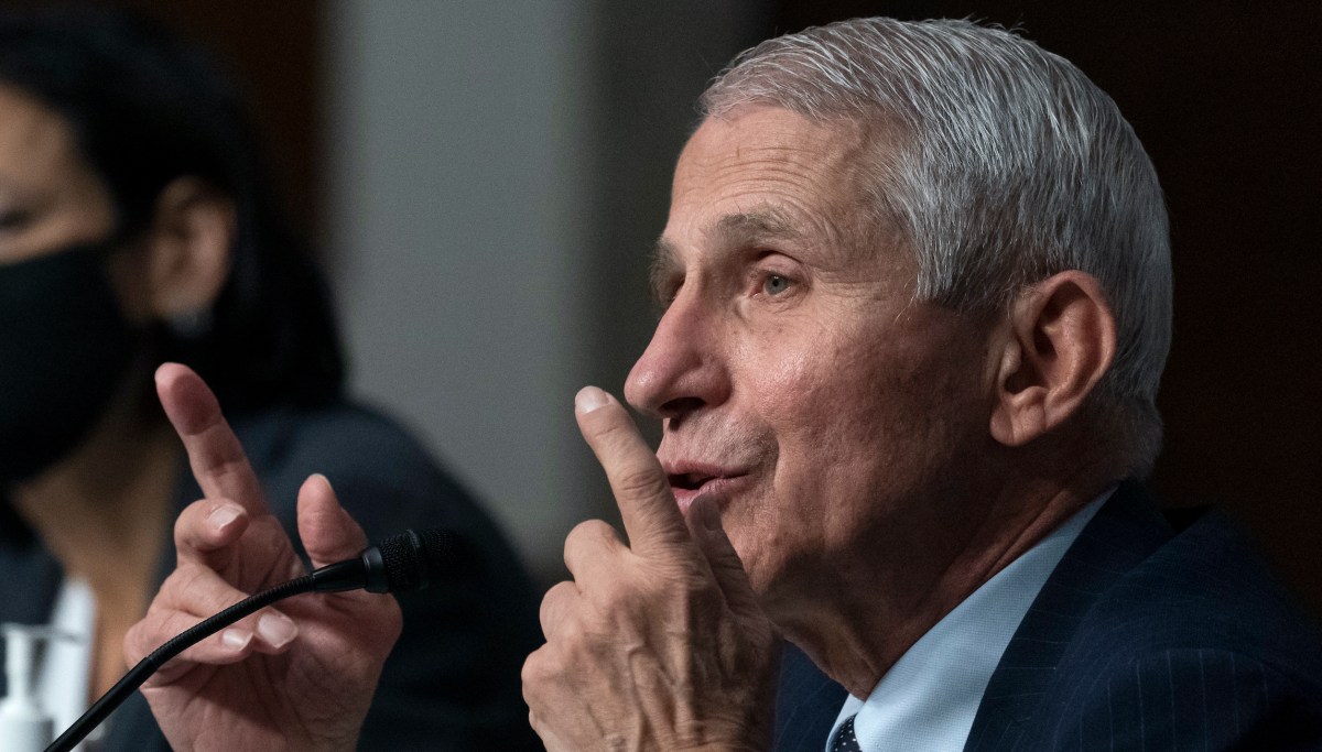 Fauci claims 'gain of function' is 'completely meaningless term' as he defends NIH actions