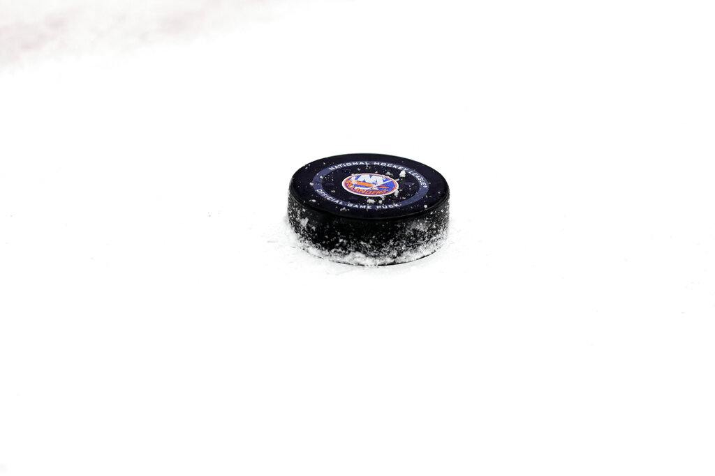 Wild Islanders Hockey