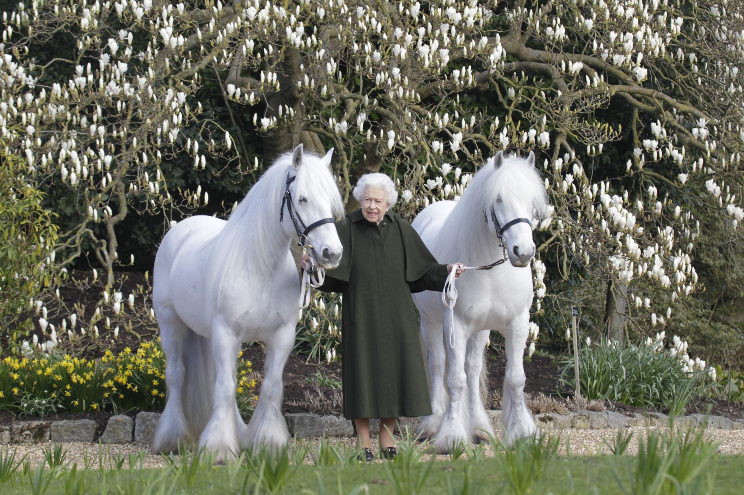 Queen Elizabeth celebrates 96th birthday