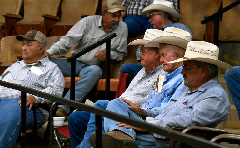 Heat and drought force ranchers to sell off cattle, threatening long-term supply
