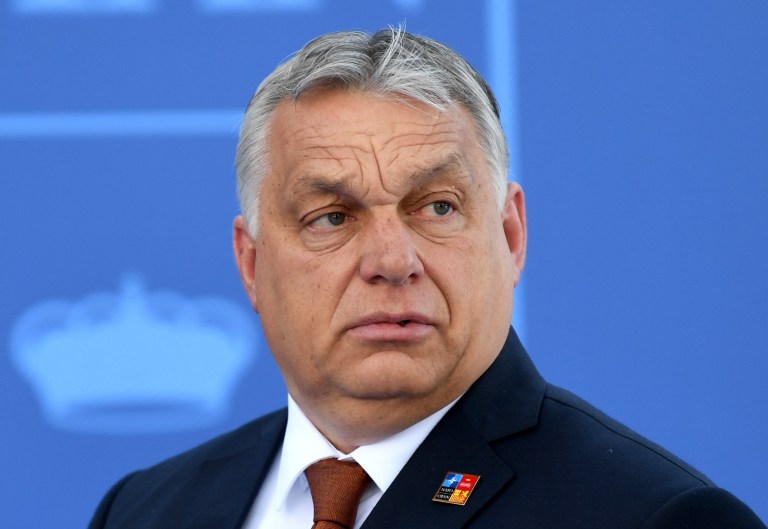 Hungarian prime minister: Countries with ‘race-mixing’ are ‘no longer nations’