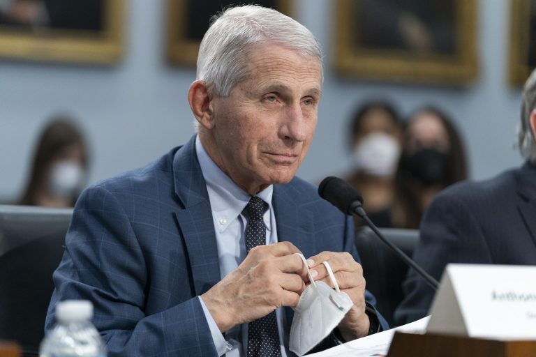 Dr. Anthony Fauci testifies to a House Committee on Appropriations subcommittee.