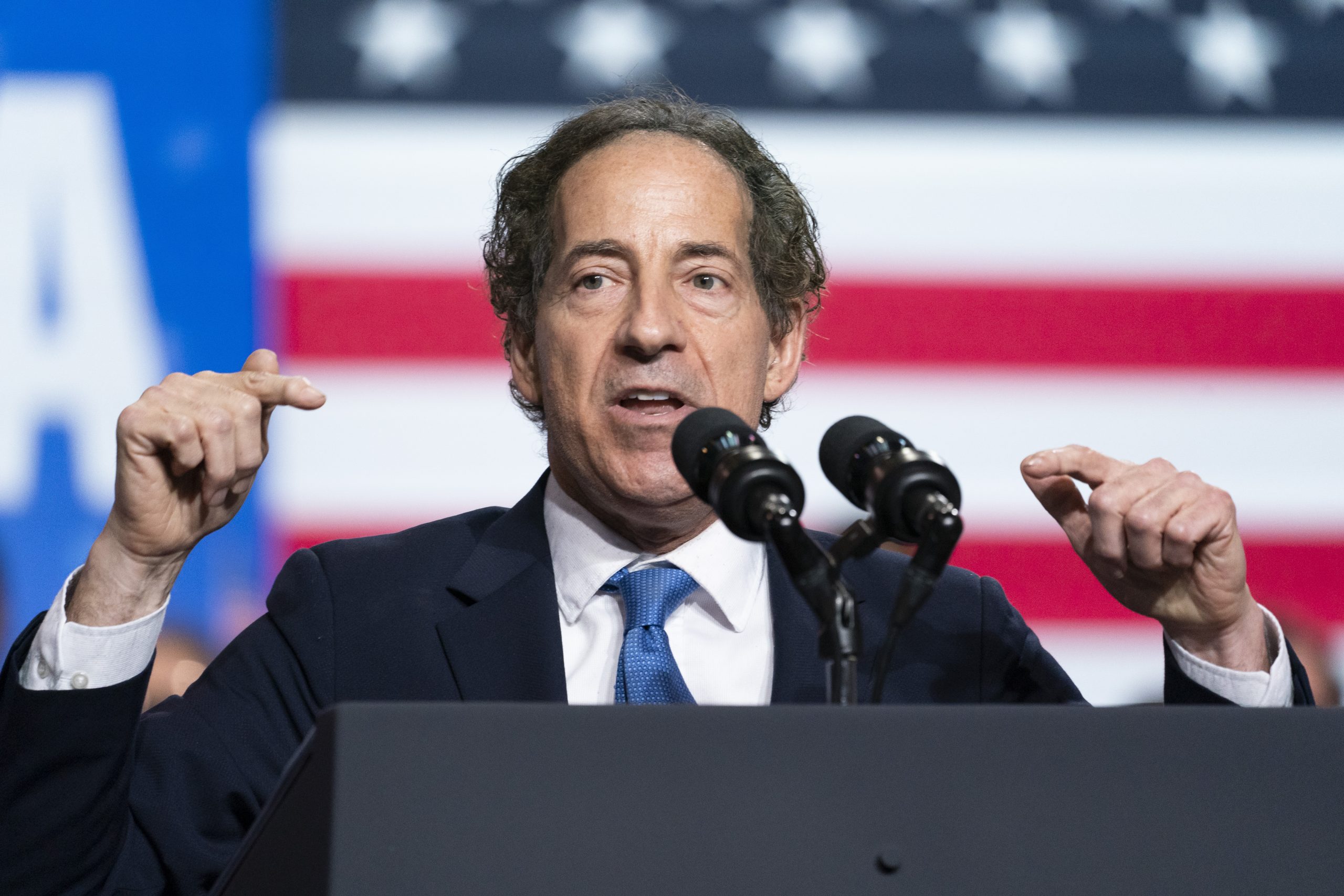 Election denier Jamie Raskin wants to protect our electoral system by destroying it