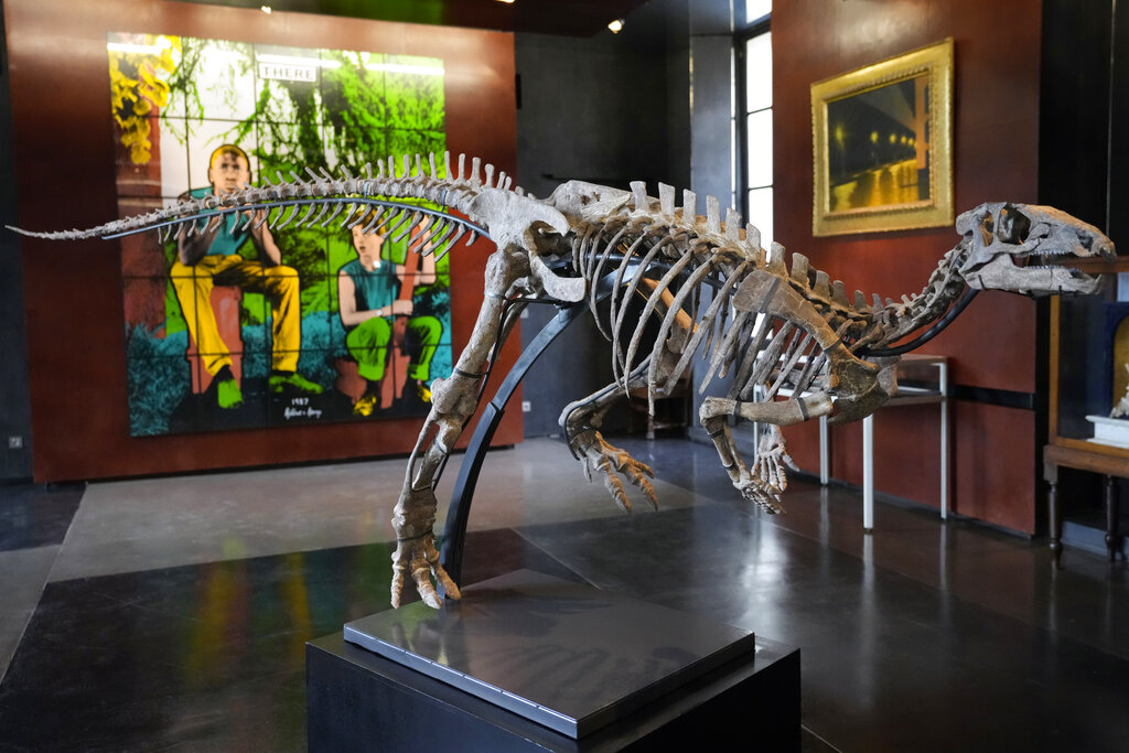 Small dinosaur skeleton to be sold at Paris auction