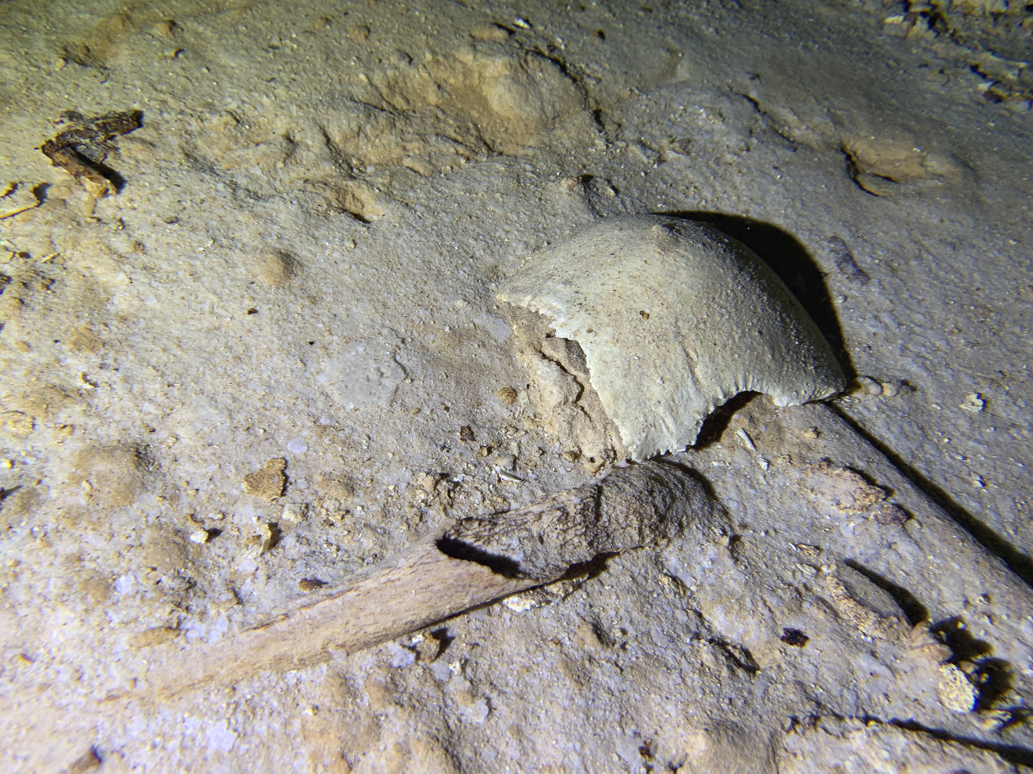 Prehistoric human skeleton found in Mexican underwater cave