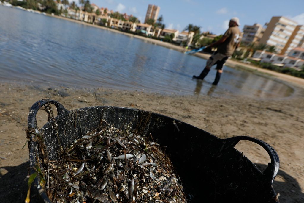 Endangered Spanish lagoon receives personhood status