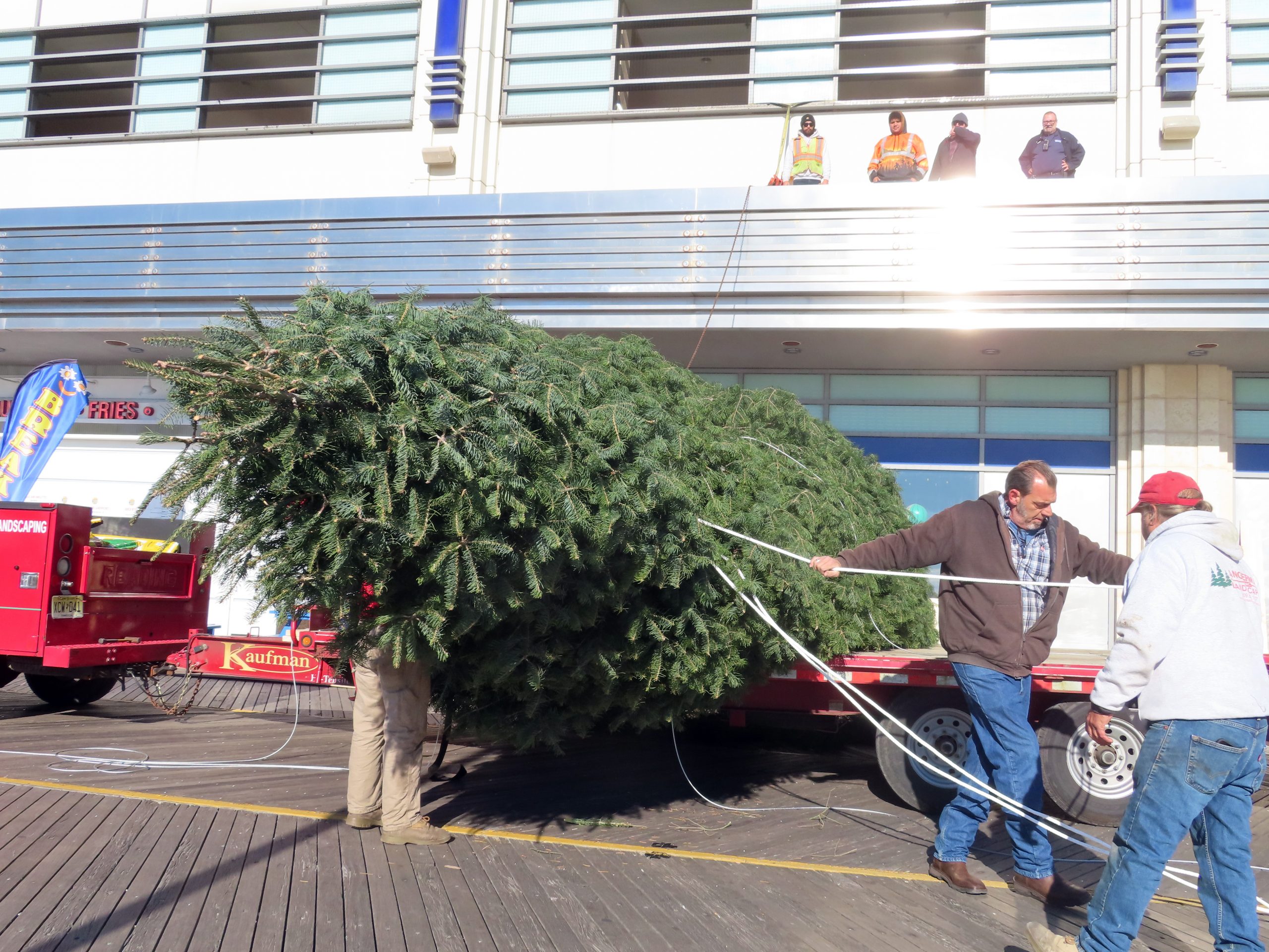 Boardwalk Christmas Tree
