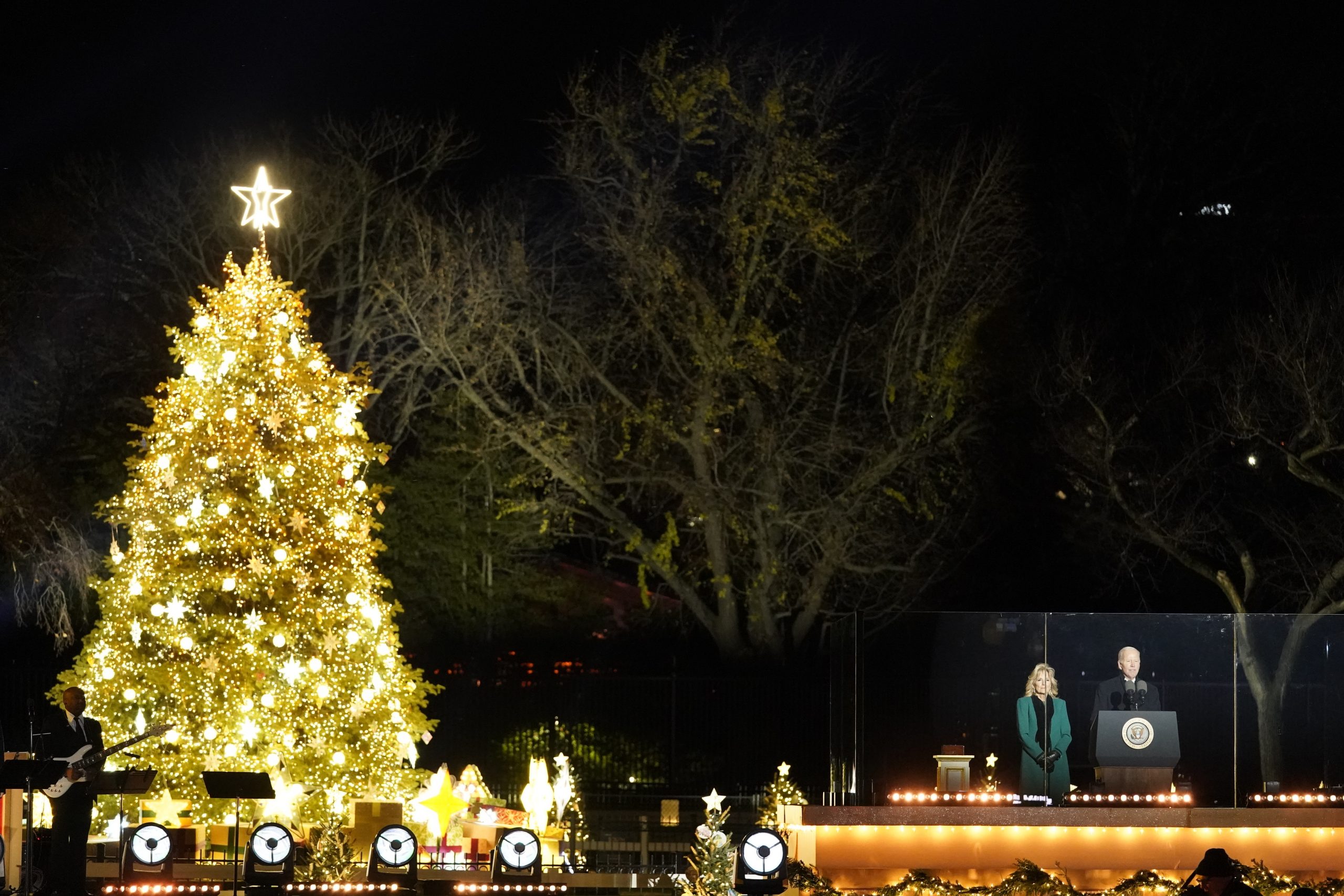 Biden Christmas Tree