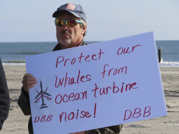 Seventh whale washes ashore in New Jersey, sparking offshore wind opposition