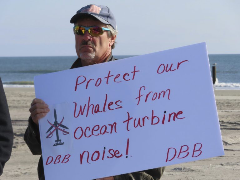 Seventh whale washes ashore in New Jersey, sparking offshore wind opposition