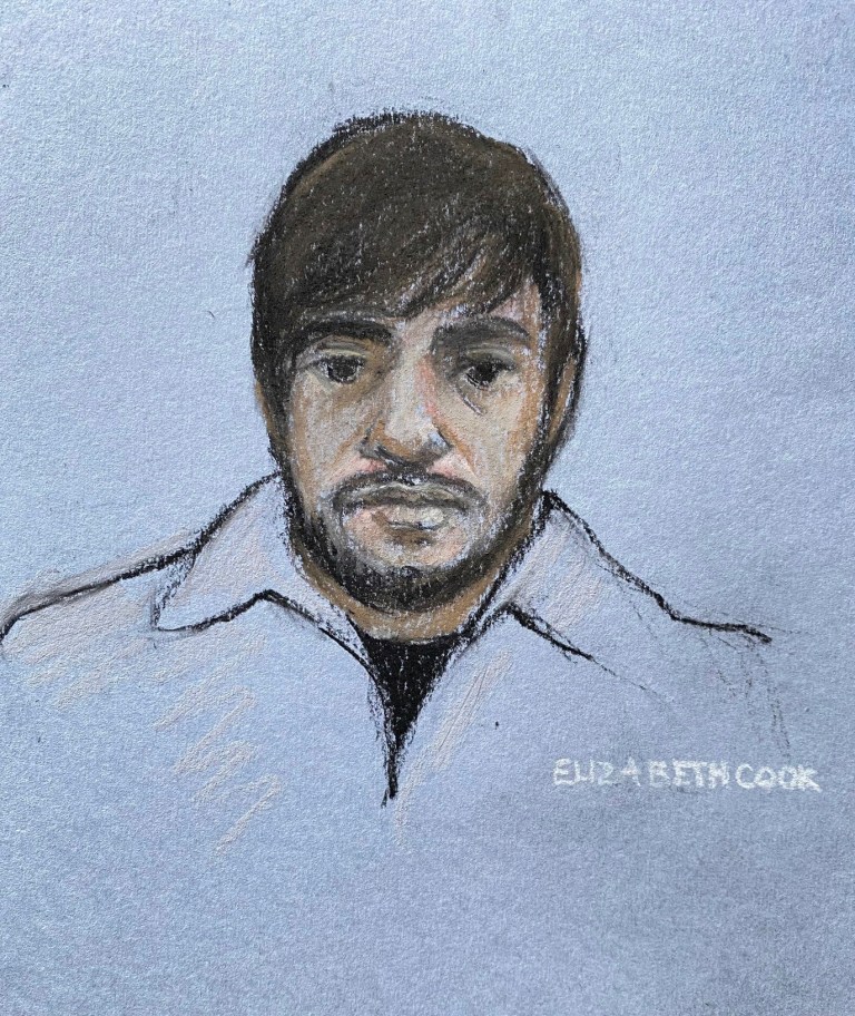 UK man pleads guilty to treason over plot to kill Queen Elizabeth II with crossbow