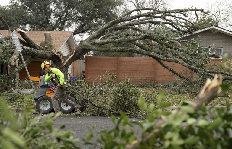 Nicolas Lane, of Full Canopy Tree Care, removes a live oak tree that fell on a house on Cloverleaf Drive during a winter storm, Friday, Feb. 3, 2023, in Austin, Texas.
