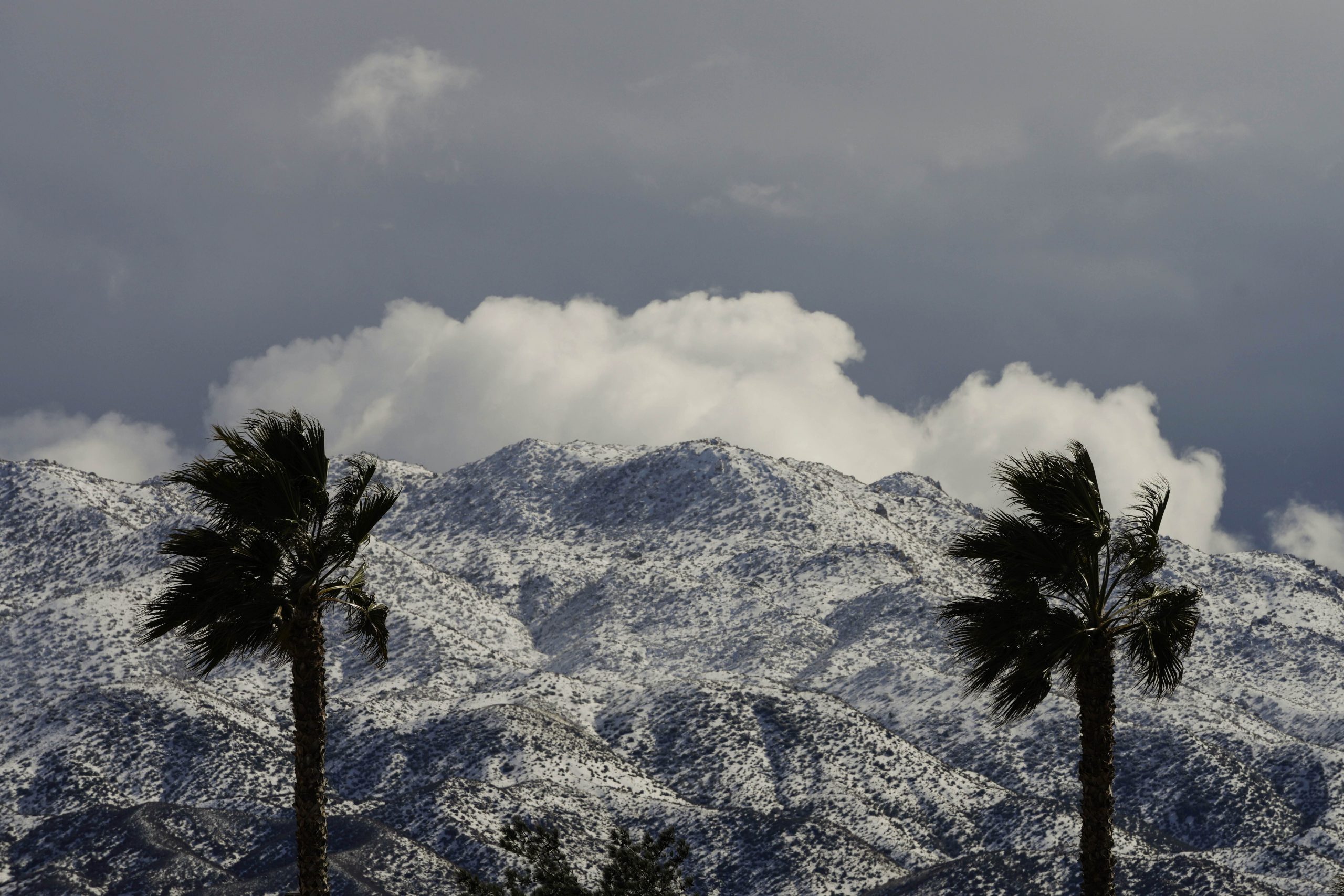 Snowfall West-Coast-Rare