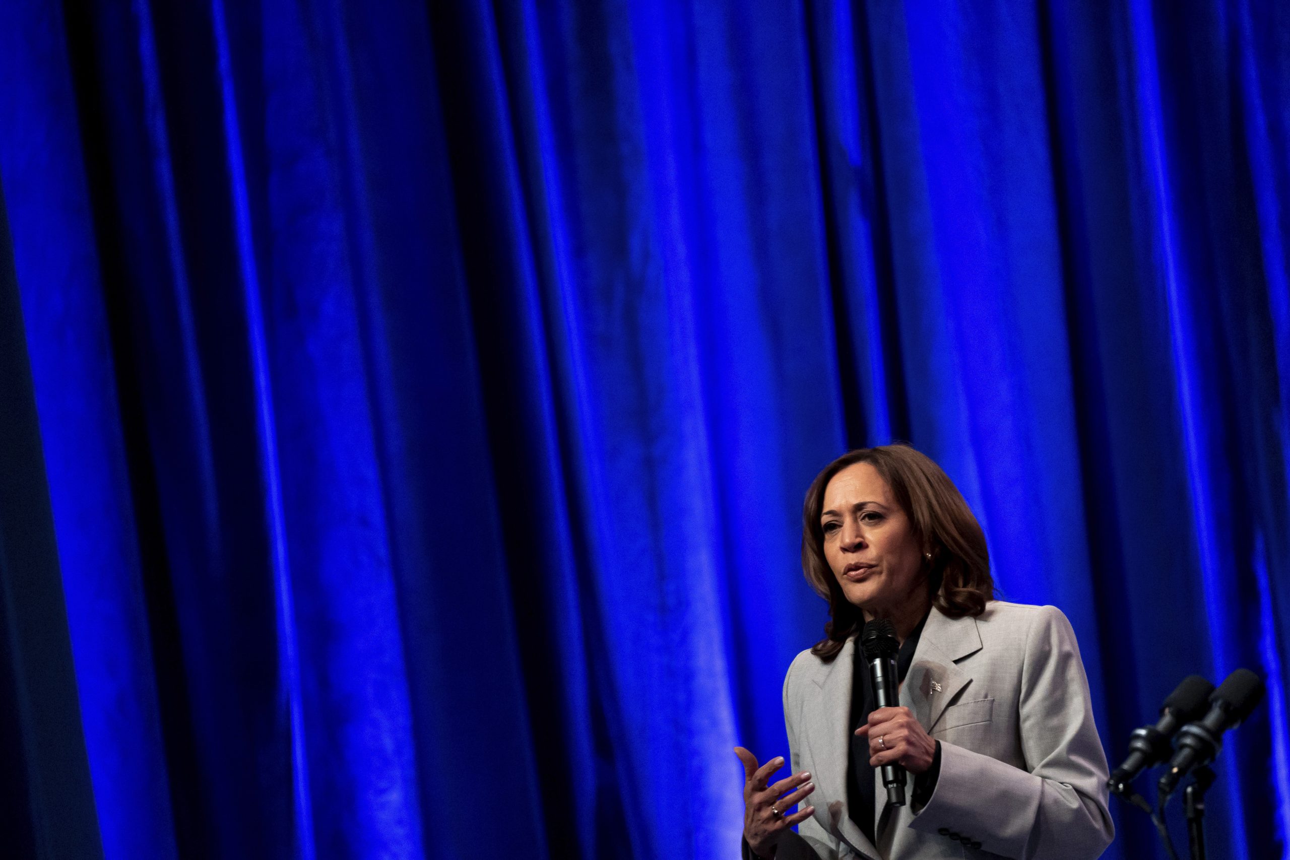Kamala Harris prepares for reelection: ‘Liability’ or ‘leading messenger’?