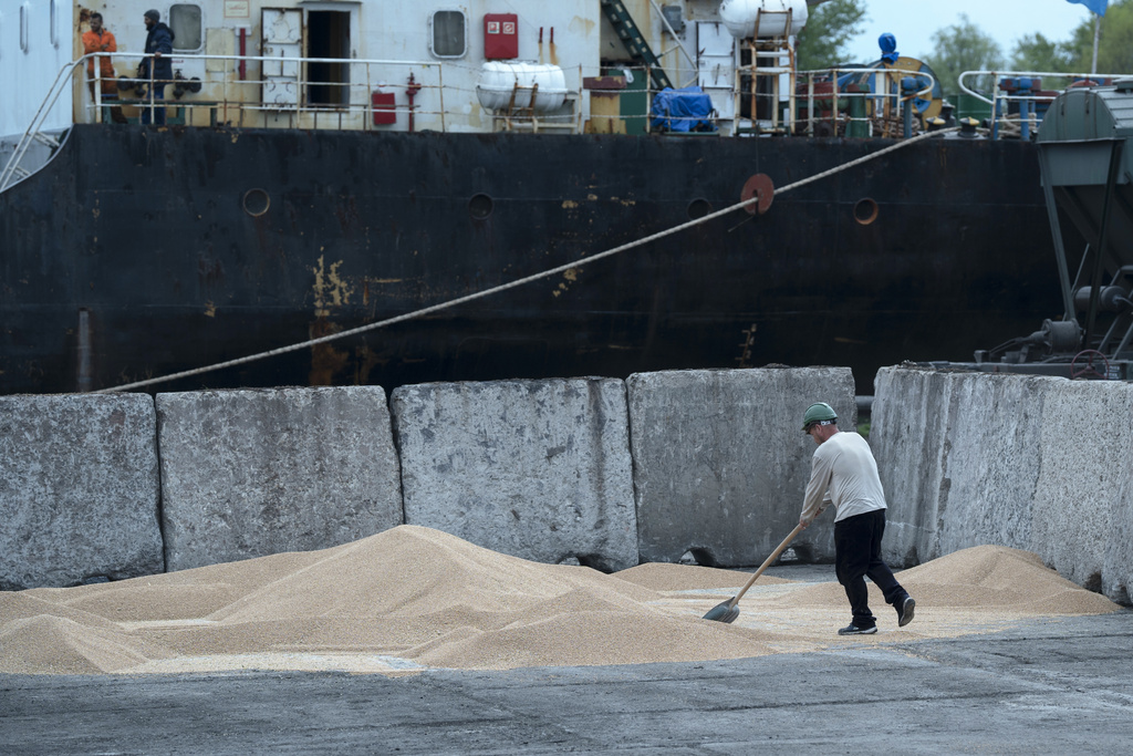 Ukraine Grain Exports
