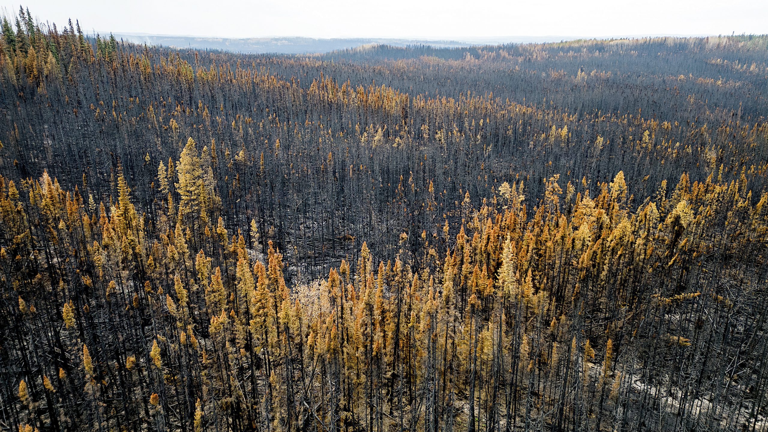 Canada Wildfires