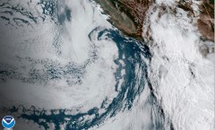 Hilary downgraded to tropical storm while California braces for floods