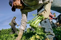 For growth, immigration dominates in analysis of Trump, Clinton plans