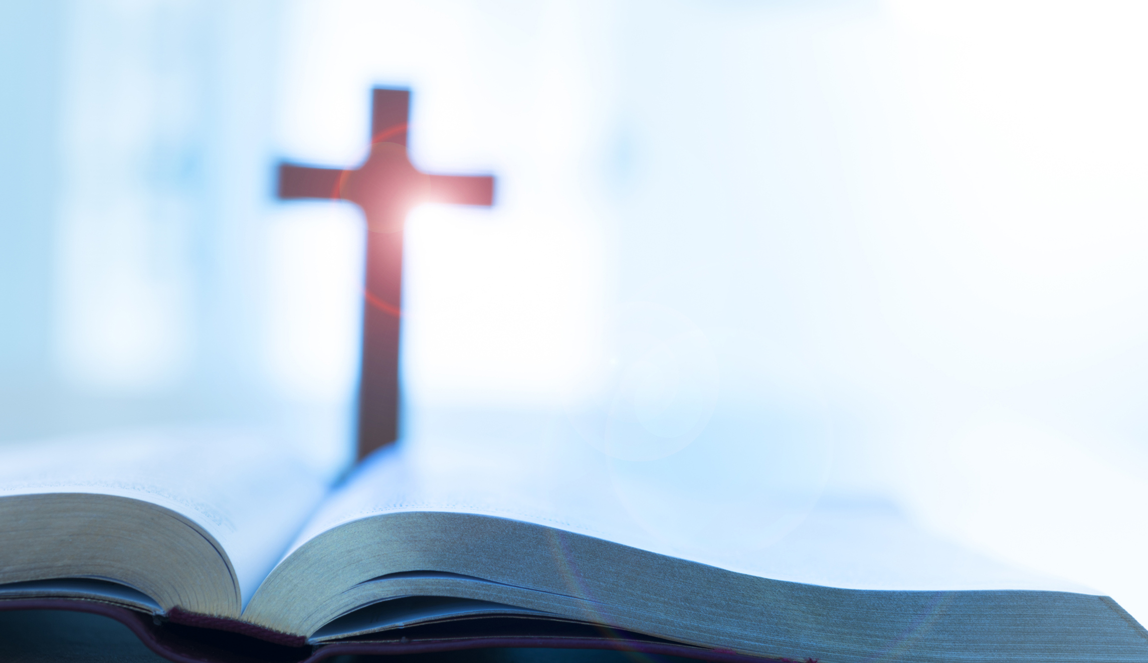 You needn’t be Catholic to learn the lesson of Catholic Schools Week